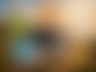 5 Element Qigong Cyprus