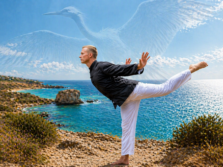 Crane Qigong Cyprus