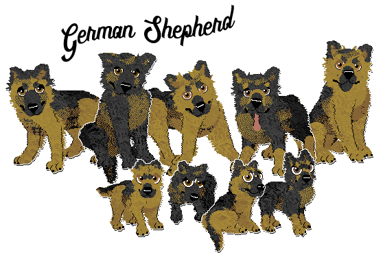 petz 5 mods petz 5 mods