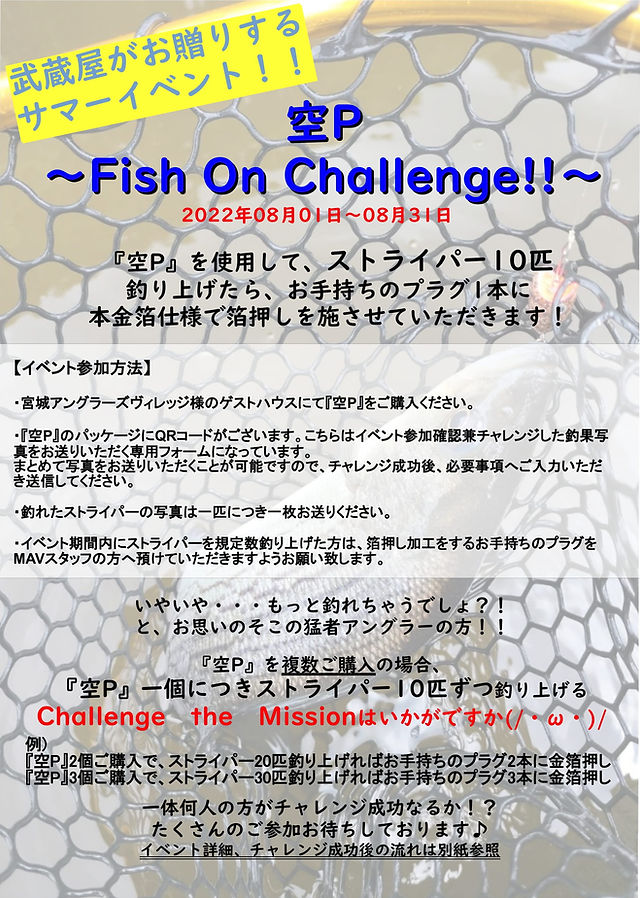 Blog | musashiya