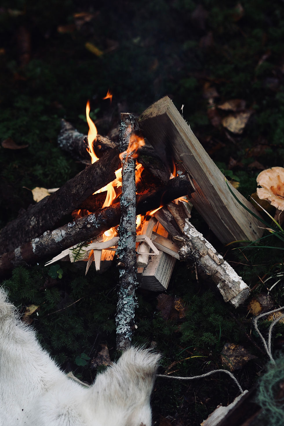 Shamanic Studies - Rites of Passage