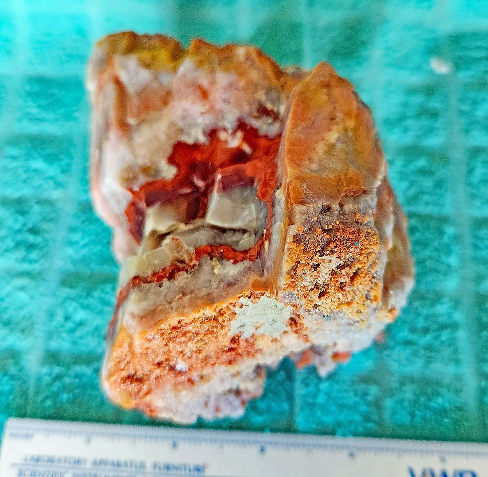 Thumbnail: Marvy Agate  from Utah's Sinbad Desert