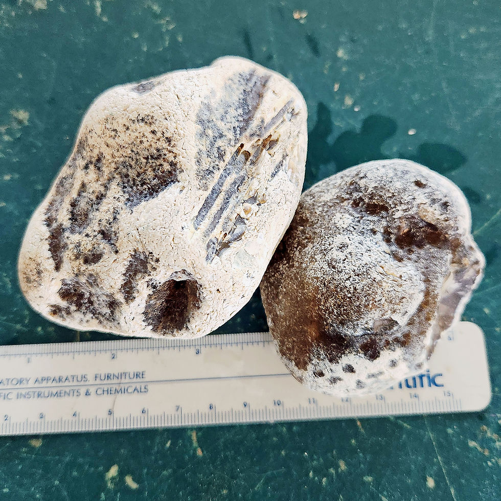 Thumbnail: Montana Agate Rough Old Stock