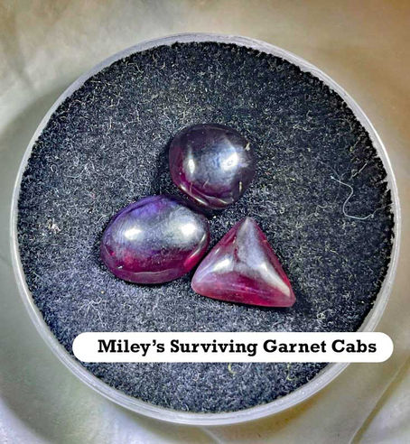 Garnets! - A Star in the East