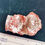 Thumbnail: Polished Utah Red Horn Coral Specimen