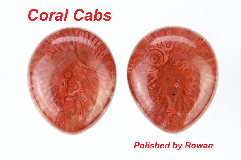 Thumbnail: Premium Utah Red Horn Coral