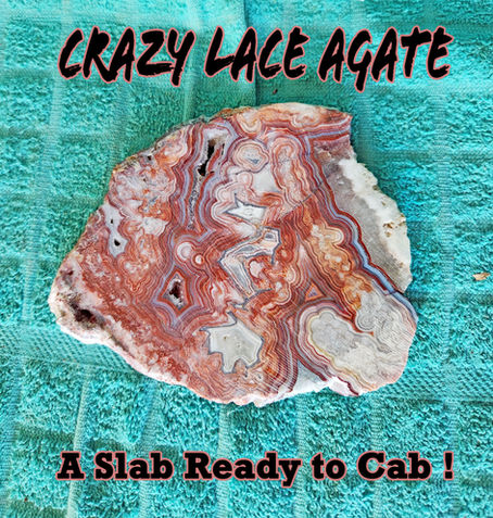 The Definition of “Old Stock” – Mexican Crazy Lace Edition