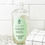 Thumbnail: Fresh Basil Counter Spray