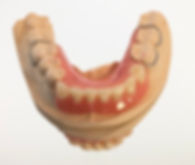 fullsizeoutput_37b8.jpeg