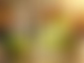 The Caipiroska: A Complete History & Classic Recipe