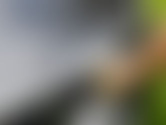 La descontaminación de la carrocería