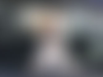 Limpiar Coche con Mascotas