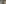 B72FBC28-366B-4E5B-A2A7-0D51EDEE3326.jpg