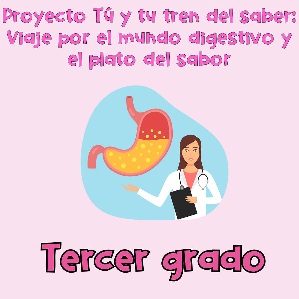 PROYECTO TÚ Y TU TREN DEL SABER: VIAJE POR EL MUNDO DIGESTIVO 3ER GRADO NEL