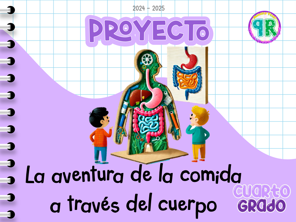 Proyecto: La aventura de la comida a través del cuerpo CUARTO GRADO
