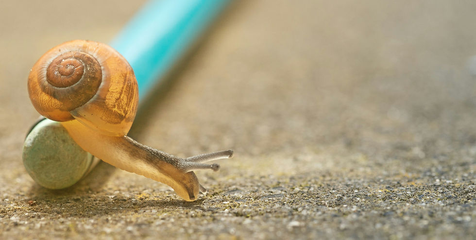 How to increase sales in the slow months
