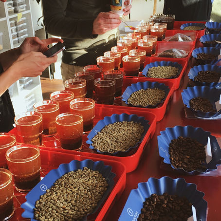 TSP COMMENT: QUALITY CONTROL