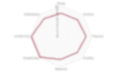 Netzdiagramm_Guatemala_P10275.png