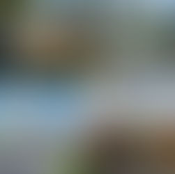 JOIN OUR CAPITAL RAISE