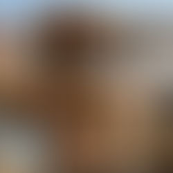 The Power of Deconstruction: Saving Money, Reducing Waste, and Building a Better Future