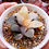 Thumbnail: Haworthia Correcta 'Cupid' White Variegated