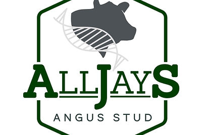 alljays angus stud_logo.jpg