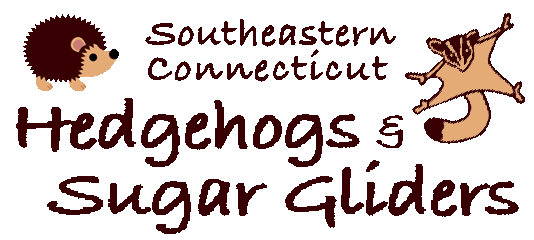 newlogoheaderhedgehogs.gif