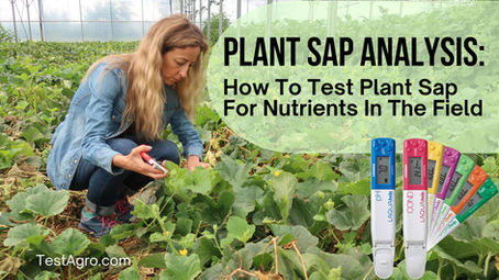 Plant Sap Analysis: Complete Guide for Modern Growers