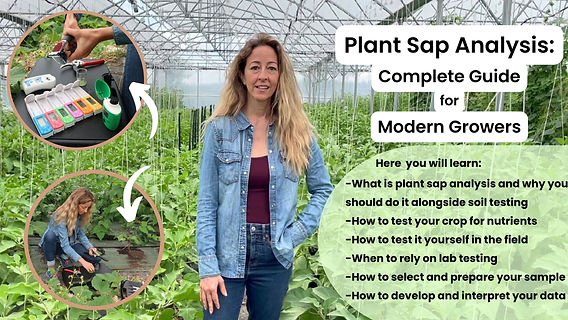 Plant Sap Analysis: Complete Guide for Modern Growers