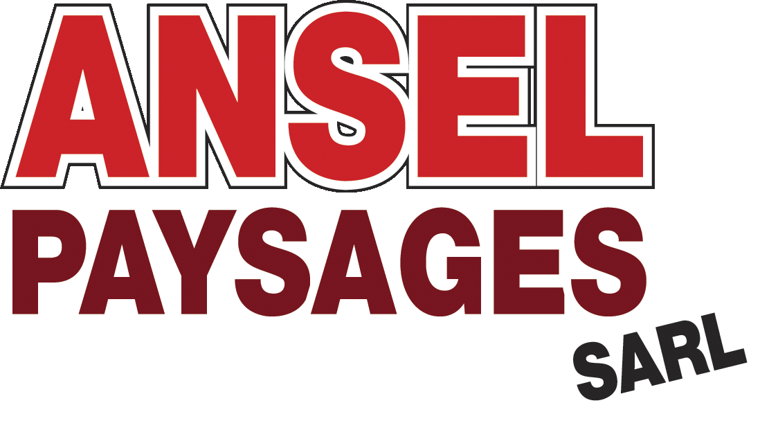 Ansel-SI.gif