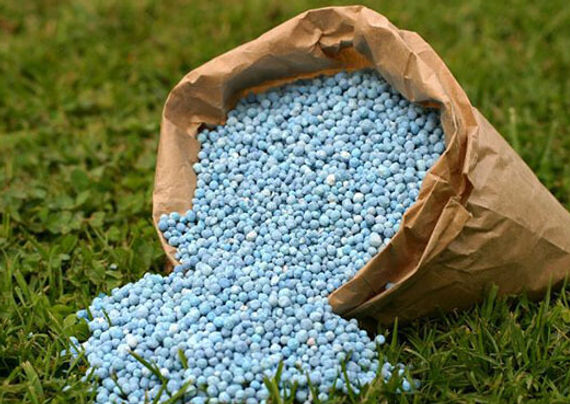 Fertilizers