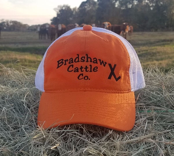 Thumbnail: Pro Low-Crown Orange Unstructured