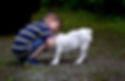 child hugging bulldog puppy.
