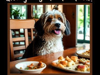 The Truth About Using People Food in Dog Training