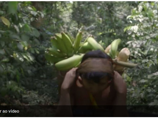 Cinema brasileiro é premiado na Alemanha