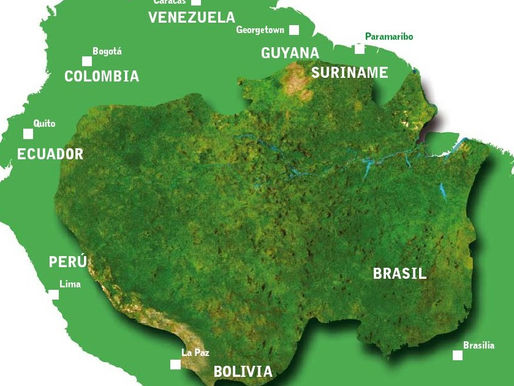 Povos da Pan-Amazônia: construindo resistências, apontando caminhos