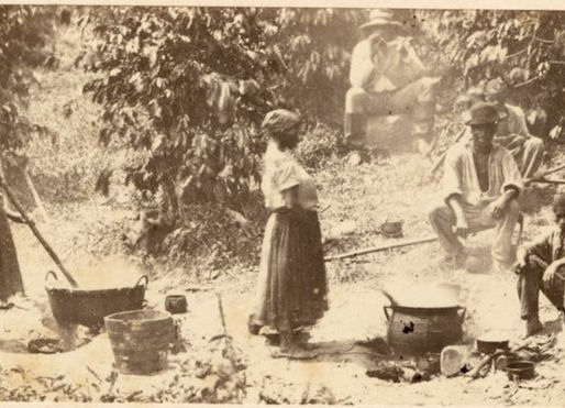 Abolição da escravidão em 1888 foi votada pela elite evitando a reforma agrária, diz historiador