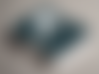 Boost Your Small Business Branding with BizBloom Agency