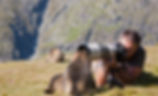 Nature Photographer