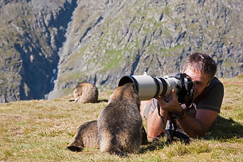Wildlife photographer capturing a close-up image of a baboon in a natural rocky landscape.