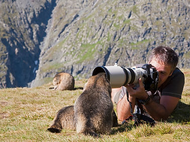 In the mountains, a wildlife photographer lies on the ground with his camera, a marmot sticks its head into the aperture of the telephoto lens.