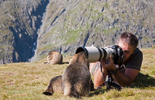 Nature Photographer