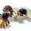 Miniature : Boucles d'oreilles Oeil de faucon