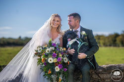 56d42d2f-5f71-404b-86eb-50e8eb572067