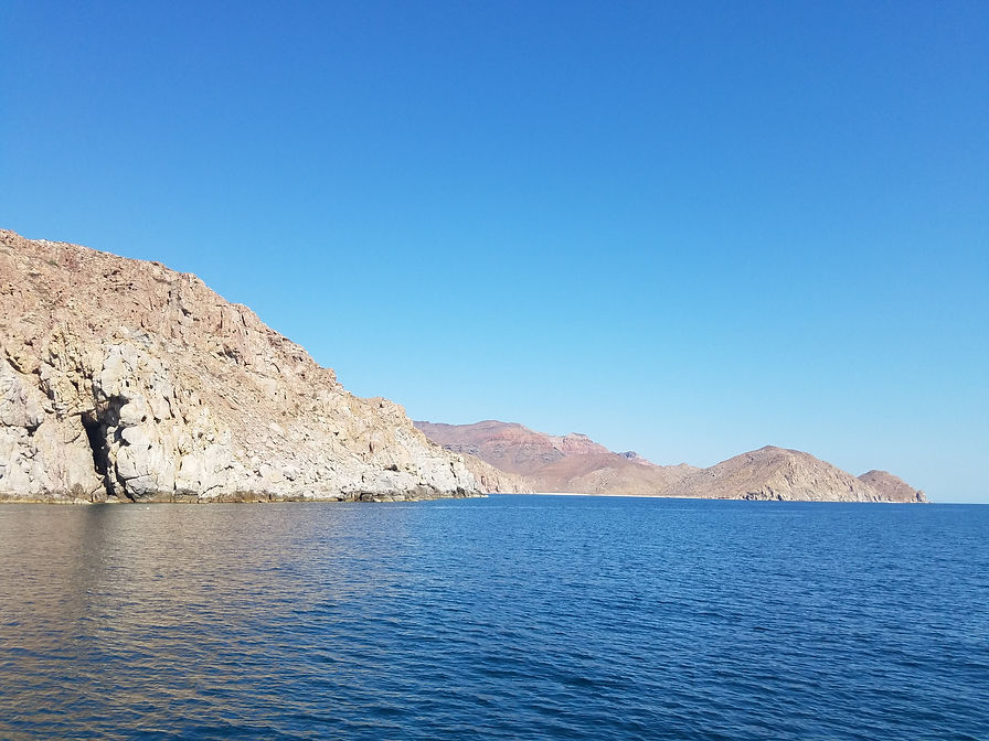 20190726_101828.jpg