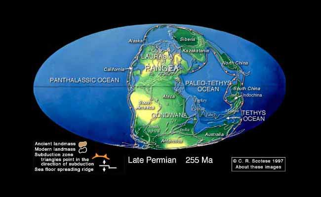 Pangea , the super continent  