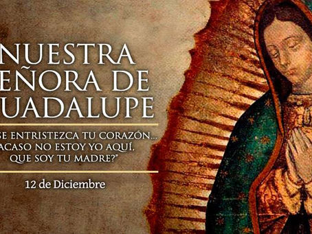 ¿Cómo celebra México el día de la Virgen de Guadalupe?