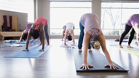 Frauen bei der Gymnastik. Foto: Wix.com