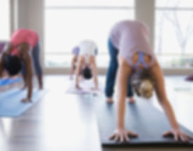 Yoga Class - Downward Facing Dog