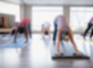 Cours de yoga - chien orienté vers le ba